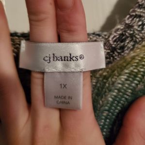Cj Banks 1x sweater with hood. Multicolored.
